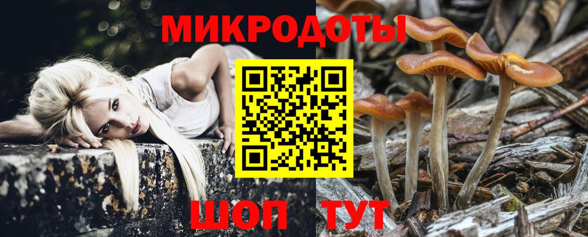 Междуреченск  купить   Вход с VPN  Псилоцибиновые грибы ЛСД 